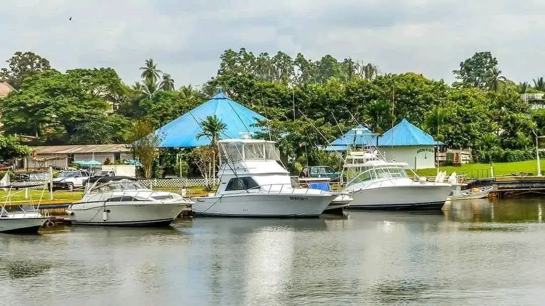 Trois bateaux blancs à quai dans la marina, devant des toits bleus et des cocotiers