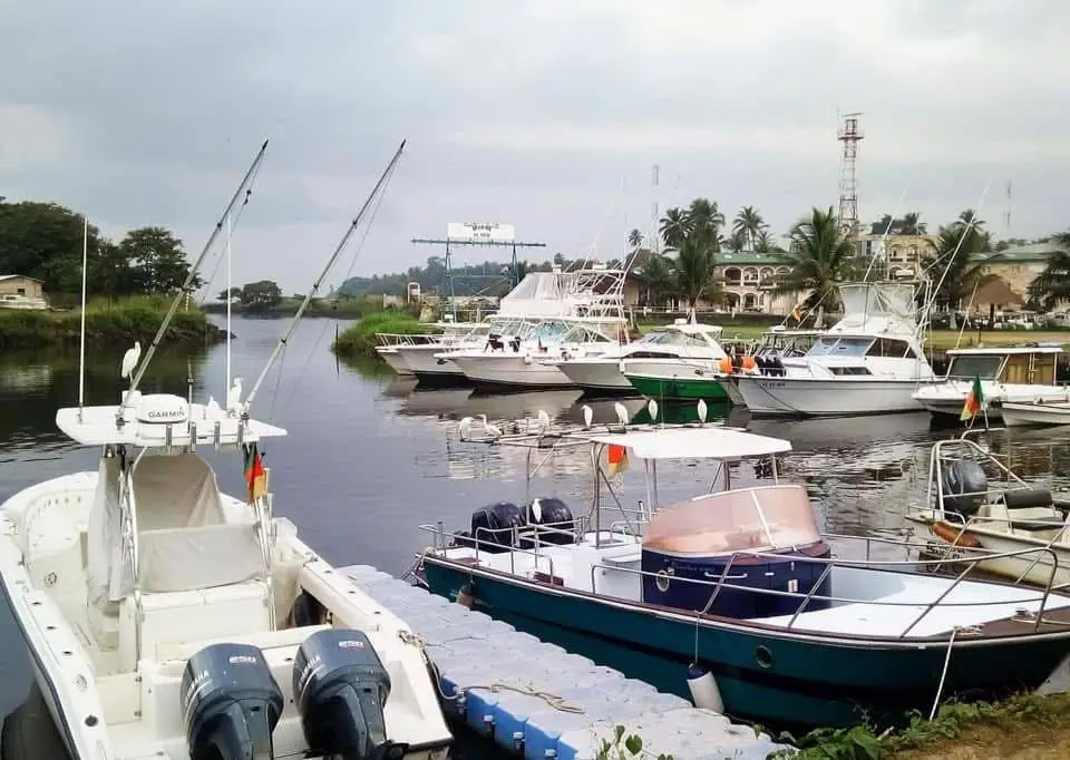Bateaux amarrés le long du ponton flottant, aigrettes posées sur les rambardes