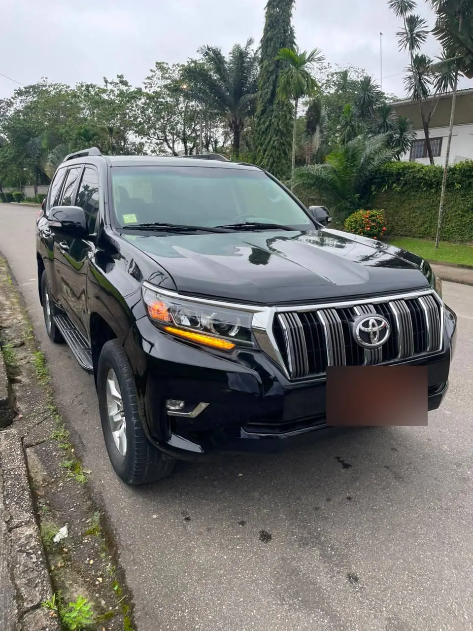 Un Toyota Land Cruiser Prado noir garé au bord d'une route bordée de palmiers