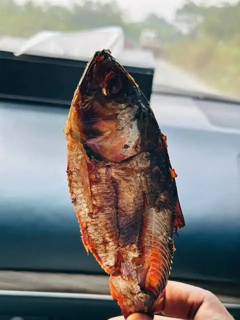 Un maban tenu à la main : poisson fumé et pimenté, doré et croustillant