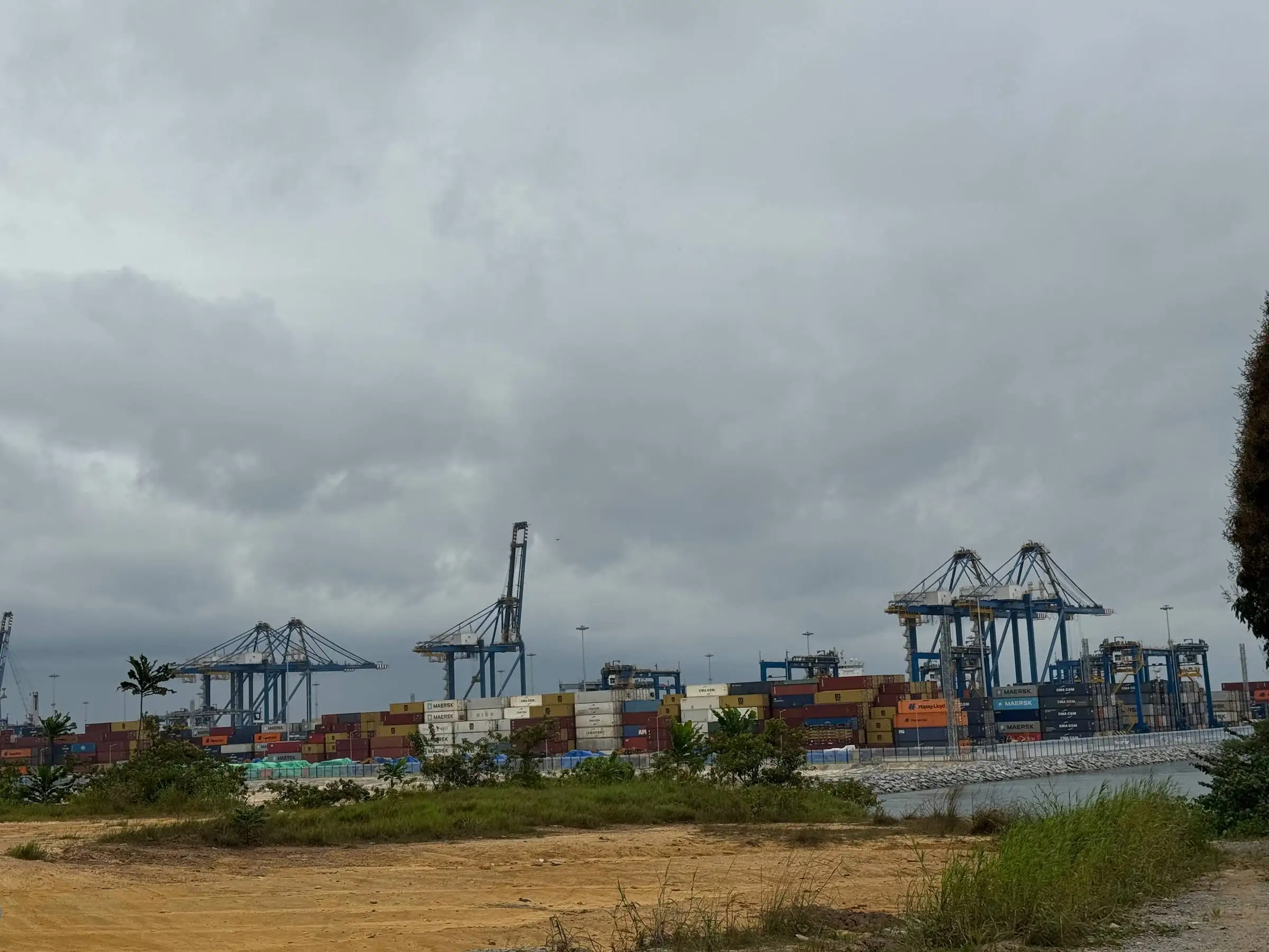 Les portiques bleus du terminal à conteneurs au-dessus des piles de conteneurs