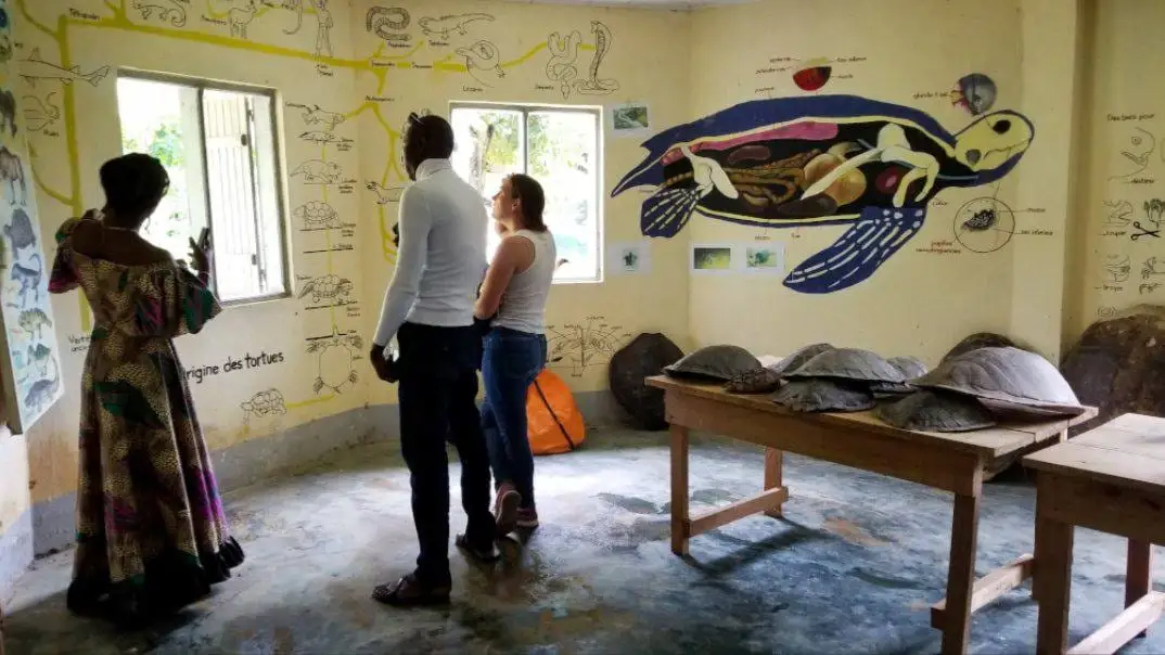 Visiteurs dans la salle des tortues, carapaces sur une table et tortue peinte au mur