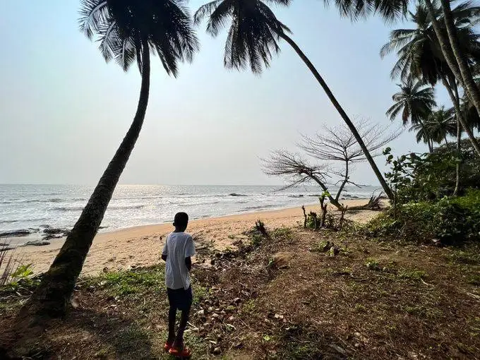 Un enfant de dos sous les cocotiers, face à la plage